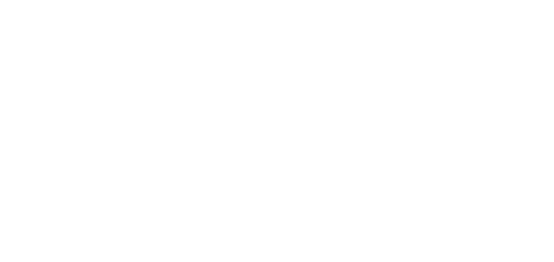 ritterdelrio.cl